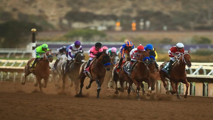 Horses running in the Breeders' Cup